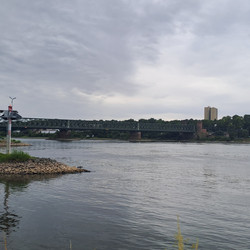 IMG_0006.JPG