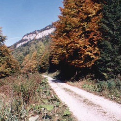 Gaderska_dolina_biele_skaly.jpg