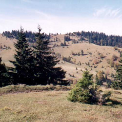pod_chabzovou.jpg