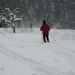 IMG_0008.JPG