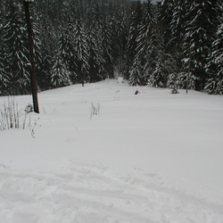 IMG_0010.JPG
