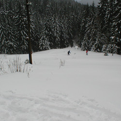 IMG_0011.JPG