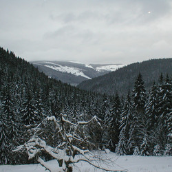 IMG_0024.JPG