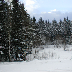 IMG_0008.JPG