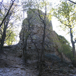 IMG_0009.jpg