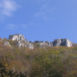 IMG_0083.jpg