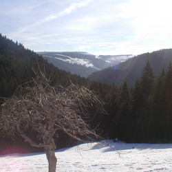 IMG_0067.JPG