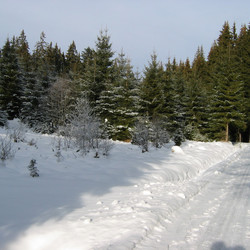 IMG_0002.JPG