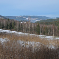 IMG_0015.JPG