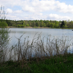 IMG_0029.JPG