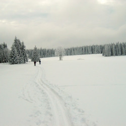 IMG_0343.jpg