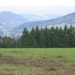 STB_0031.JPG