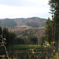 IMG_0070.jpg