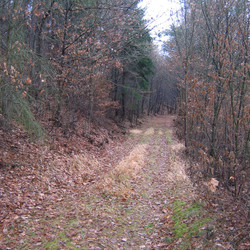 IMG0002.jpg