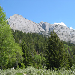 IMG_0063.JPG