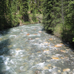 IMG_0066.JPG