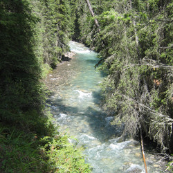 IMG_0067.JPG