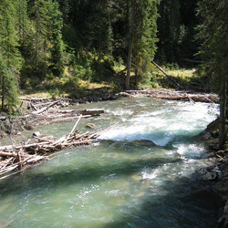 IMG_0083.JPG