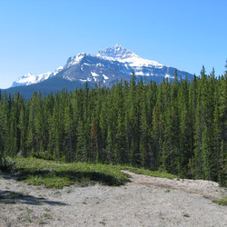 IMG_0124.JPG