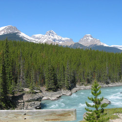 IMG_0125.JPG