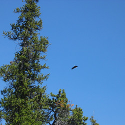 IMG_0162.JPG