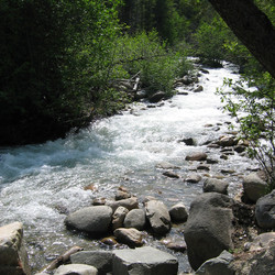IMG_0268.JPG
