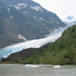 IMG_0336.JPG