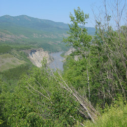 IMG_0411.JPG