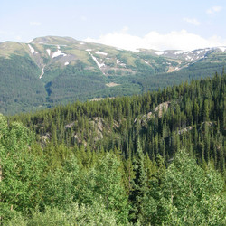 IMG_0427.JPG