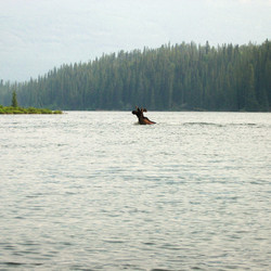 IMG_0510.JPG