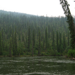 IMG_0576.JPG