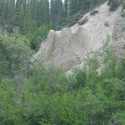 IMG_0658.JPG
