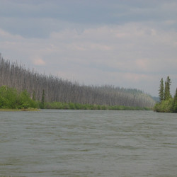 IMG_0664.JPG