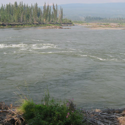 IMG_0703.JPG