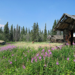 IMG_0725.JPG