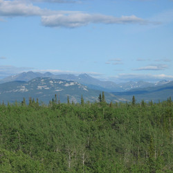 IMG_0763.JPG