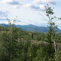 IMG_0764.JPG
