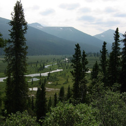 IMG_0854.JPG