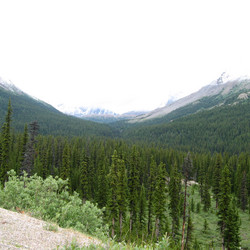 IMG_1064.JPG