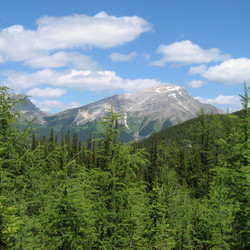 IMG_1084.JPG