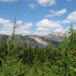 IMG_1085.JPG