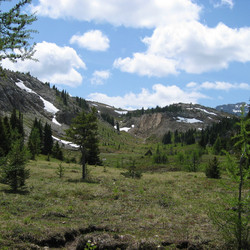 IMG_1090.JPG
