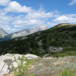 IMG_1097.JPG
