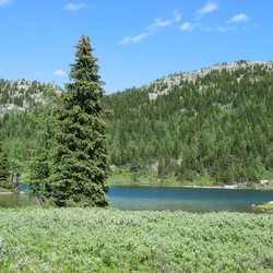 IMG_1122.JPG