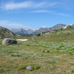 IMG_1137.JPG
