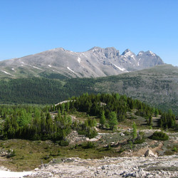 IMG_1143.JPG