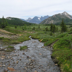 IMG_1160.JPG