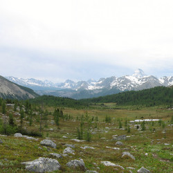 IMG_1171.jpg