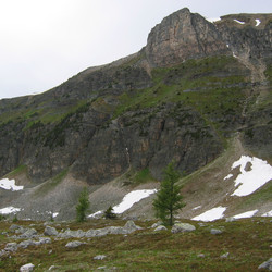IMG_1173.JPG
