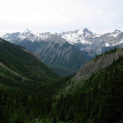 IMG_1177.JPG